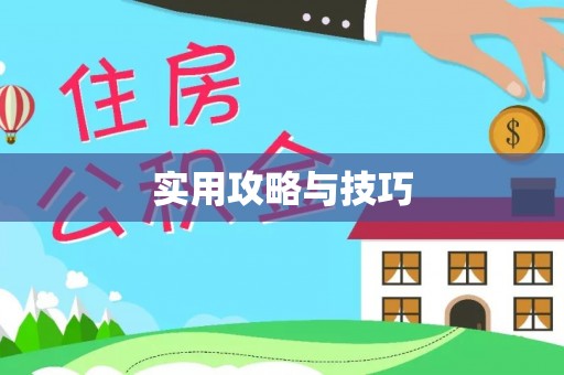 凯里实用攻略与技巧