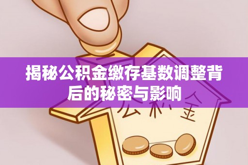 凯里揭秘公积金缴存基数调整背后的秘密与影响
