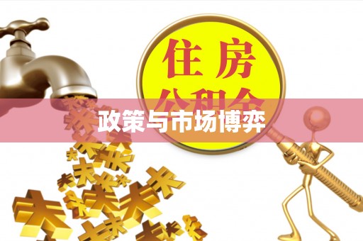 凯里政策与市场博弈
