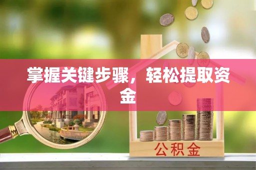 凯里掌握关键步骤，轻松提取资金