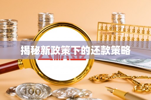 凯里揭秘新政策下的还款策略