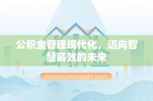 凯里公积金管理现代化，迈向智慧高效的未来