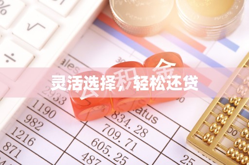 凯里灵活选择，轻松还贷