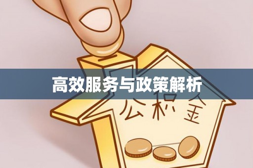 凯里高效服务与政策解析
