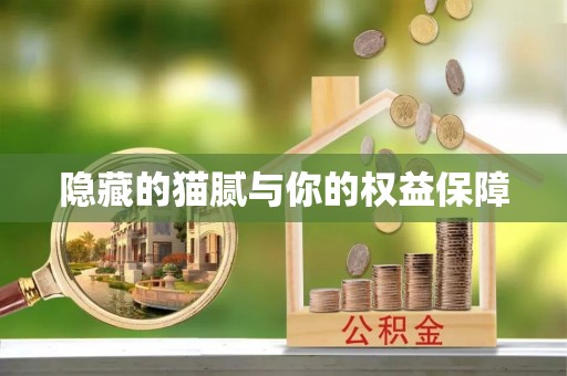 凯里隐藏的猫腻与你的权益保障