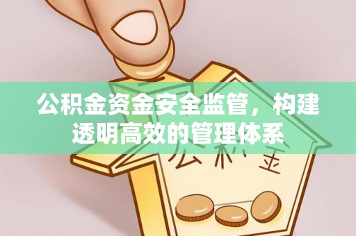 凯里公积金资金安全监管，构建透明高效的管理体系