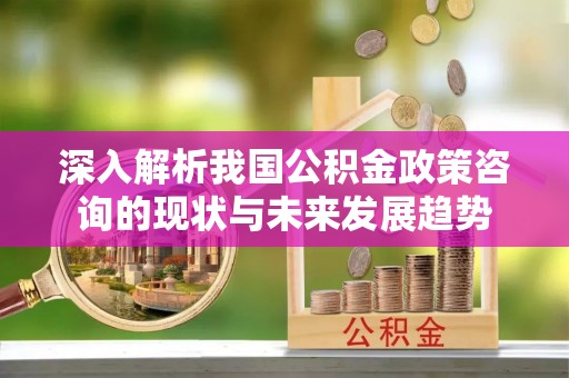 凯里深入解析我国公积金政策咨询的现状与未来发展趋势