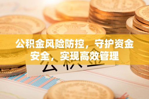凯里公积金风险防控，守护资金安全，实现高效管理