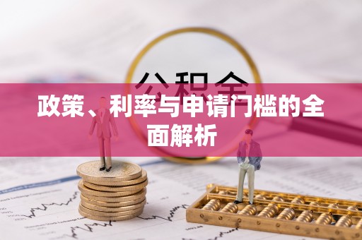 凯里政策、利率与申请门槛的全面解析