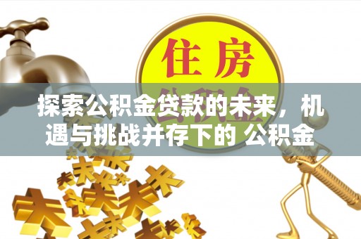 凯里探索公积金贷款的未来，机遇与挑战并存下的 公积金贷款风险防控