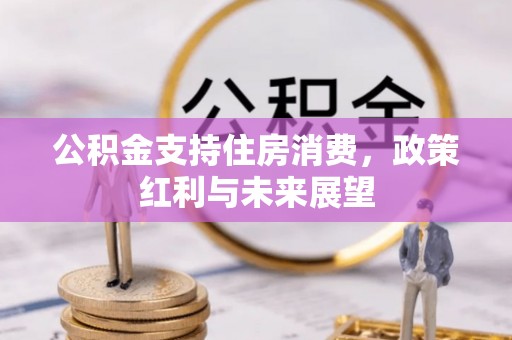 凯里公积金支持住房消费，政策红利与未来展望