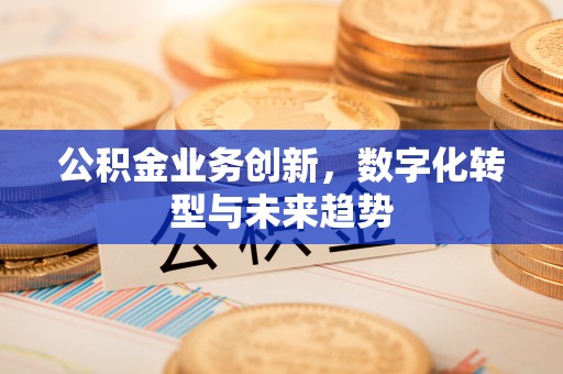 凯里公积金业务创新，数字化转型与未来趋势