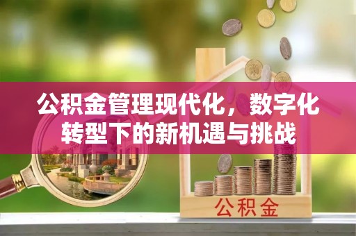 凯里公积金管理现代化，数字化转型下的新机遇与挑战