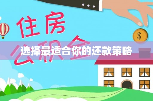 凯里选择最适合你的还款策略