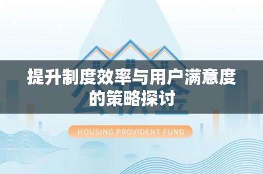 凯里提升制度效率与用户满意度的策略探讨