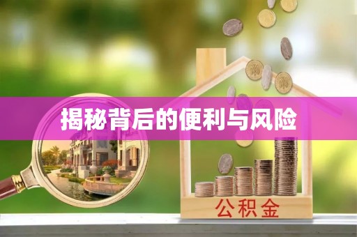 凯里揭秘背后的便利与风险
